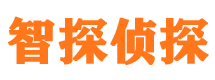 东兴区侦探